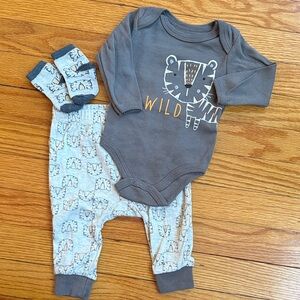 Wild Tiger Gray Kids Matching Set